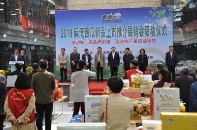 東營(yíng)市供銷合作社聯(lián)合社 工作動(dòng)態(tài) 市供銷社舉辦2019黃河口農(nóng)產(chǎn)品品牌創(chuàng)建麻灣西瓜新品上市推介周活動(dòng)啟動(dòng)儀式