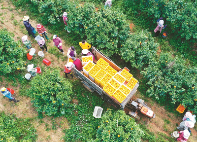 在線等,挺急的!貧困地區(qū)的滯銷農(nóng)產(chǎn)品怎么賣出去?