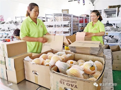 “塞外糧倉(cāng)”變身“天下廚房”