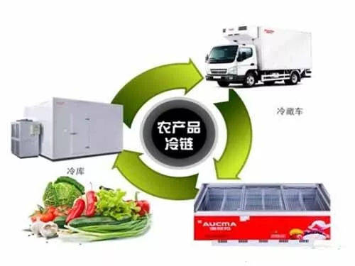 農(nóng)產(chǎn)品的冷鏈物流體系如何搭建?