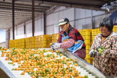@這10類(lèi)人,這些“新”舉措跟你有大關(guān)系!
