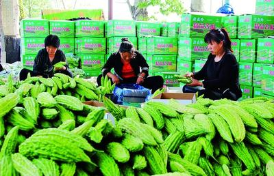 2020年黃河金三角(曲沃)國(guó)際果蔬博覽會(huì)新聞發(fā)布會(huì)成功舉辦