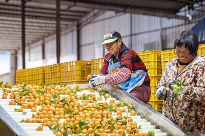 未來(lái)生活是什么模樣?一起來(lái)看看