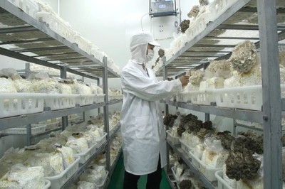 推薦一只超低估值的“消費(fèi)股”