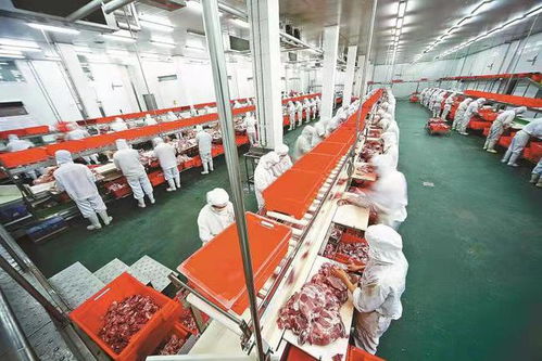 農(nóng)洽會(huì)打開(kāi) 國(guó)際朋友圈 , 國(guó)際農(nóng)都 駐馬店再出發(fā)