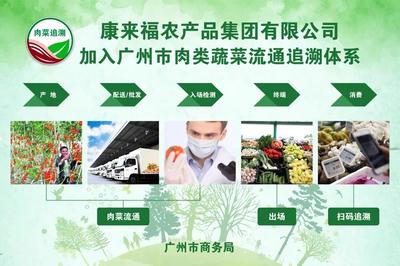 什么是省重點農業龍頭企業?康來福獲取評選都做對了哪些事?