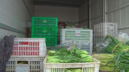 直擊現(xiàn)場(chǎng) 菏澤市成武縣首家綜合性農(nóng)產(chǎn)品物流園試營(yíng)業(yè)