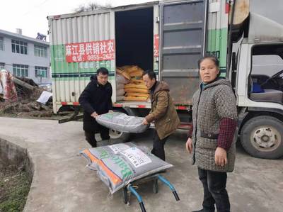 麻江縣供銷社“五措施”全力以赴保春耕