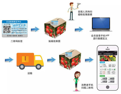 二維碼溯源系統(tǒng) 讓安全看得見(jiàn)的產(chǎn)品流通服務(wù)