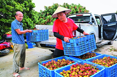搶占“鮮”機(jī)——農(nóng)產(chǎn)品流通跑出加速度