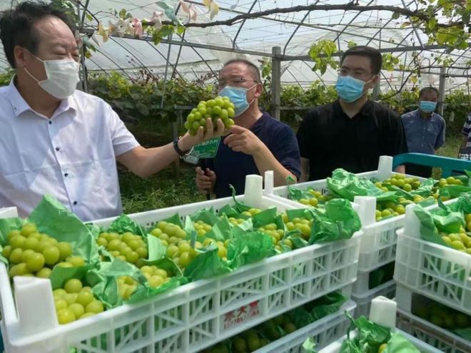 把傳統(tǒng)業(yè)務(wù)打造成獨(dú)特優(yōu)勢(shì)——農(nóng)產(chǎn)品流通看江蘇供銷(xiāo)模式