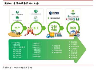 公告提示多重風(fēng)險(xiǎn)！供銷社概念龍頭八連板，產(chǎn)品流通服務(wù)引關(guān)注